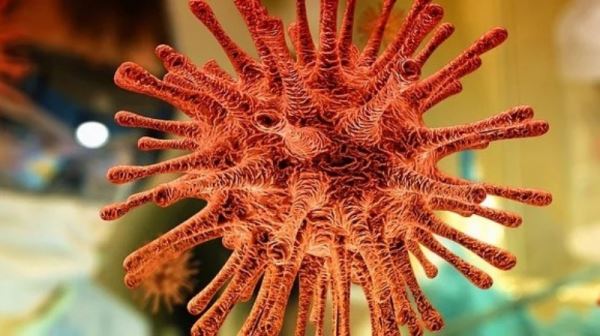 Коронавирус COVID-19 создали не люди: ученые сделали важное заявление