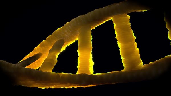 Ученые нашли гены, которые активируются после смерти человека